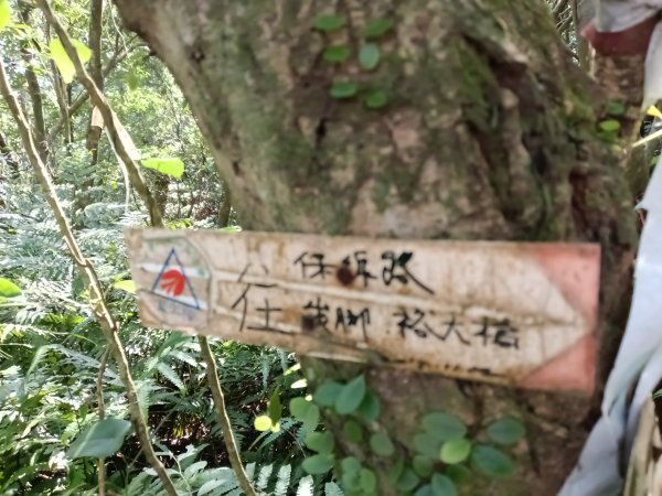 基隆市/萬里區界寮縱走之三界山+三界山西峰+開眼尖山+七分寮山+瑪七產道山泉水接水亭2979605