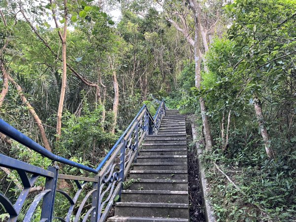 [微笑山線_第六段] 2025_0807 二格山系_和美山螢火蟲段2854603