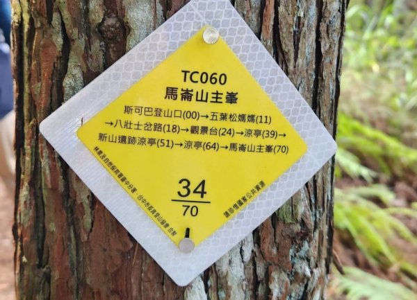 【中級山】五星級步道，谷關七雄馬崙山（八壯士進，斯可巴出）2744957