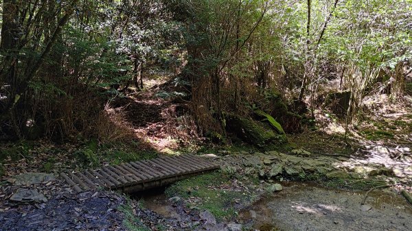 榛山景觀平台2918110