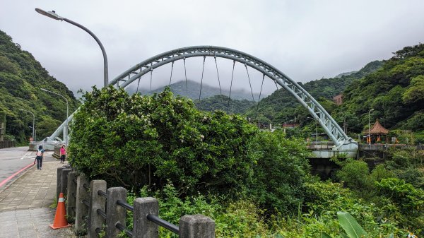 金字碑古道,大粗坑步道2518855