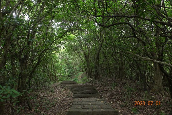 宜蘭 頭城 蕃薯寮山、鹿窟尾山、灣坑頭山2202998