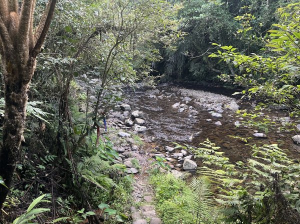 [淡蘭古道] 2024_0623 中路第五段-烏山越嶺古道2533820