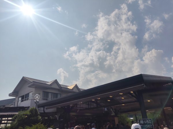忍野八海3089669