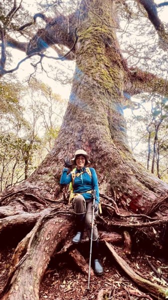 🌈4/13（日）（三）魔法森林-塔曼山~FB：熊熊趴爬走🌈2761305