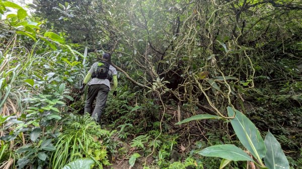 114.06.08門牙岩之O型2806622