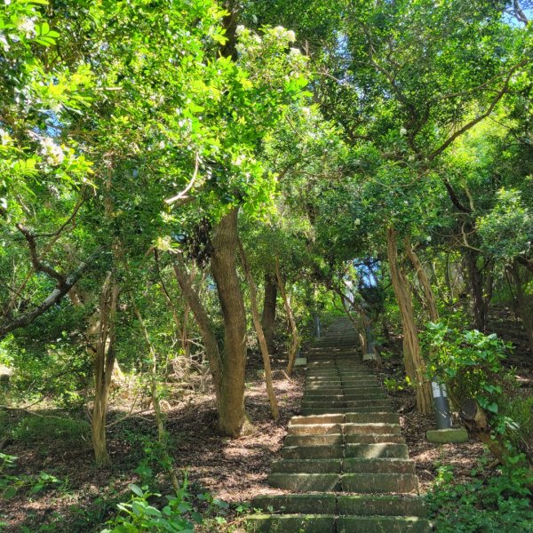 通霄虎頭山步道2245712