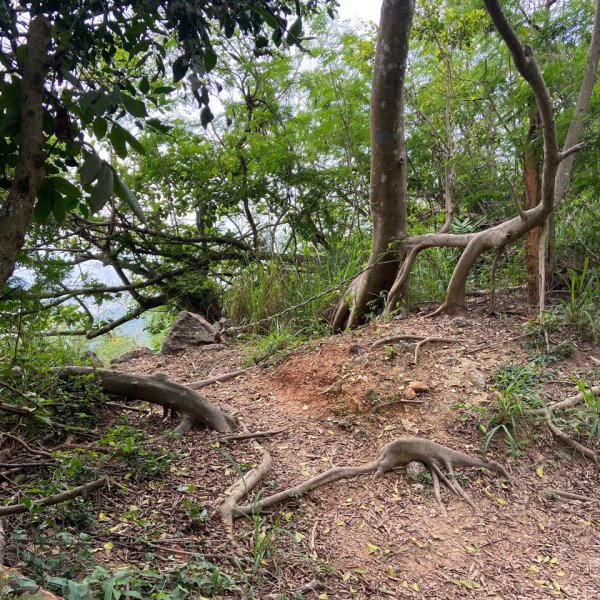 柴山，一年四季3085758