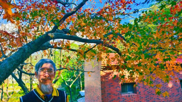 #花卉試驗中心 #永公路500巷 #平菁街42巷 #原住民公園 #士林官邸 1/42976602