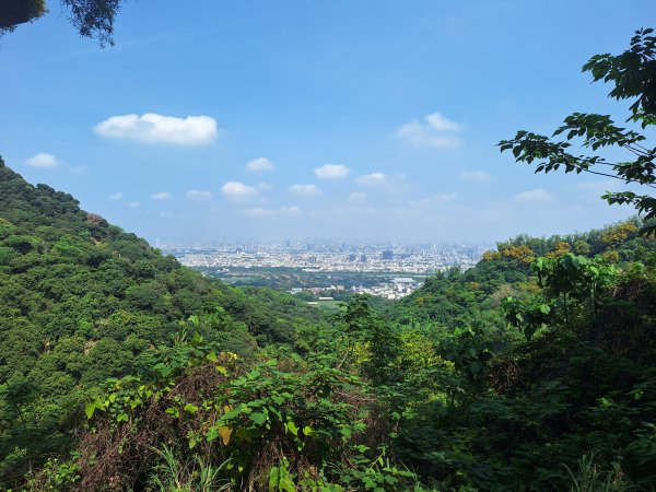 太平車籠山+貓頭鷹步道+番子路山+豬槽山202605023045768