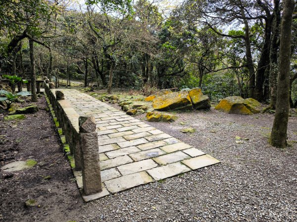 2025-01-19 大里天公廟~埡口2695390