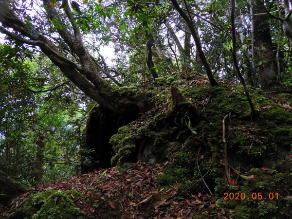 桃園 復興 稜山943152