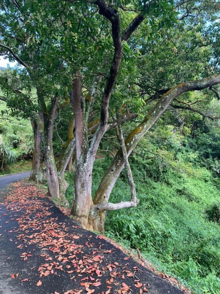 貓囒山步道（小百岳）2273283