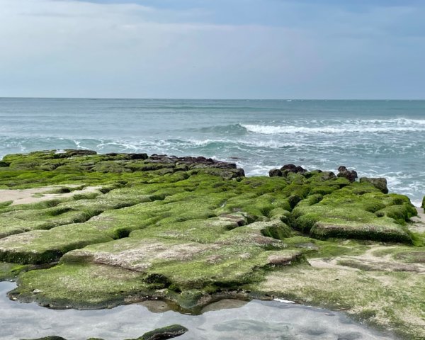老梅綠石槽-萬里駱駝峰2759041