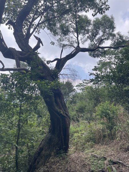 雙港仔群峰2794251