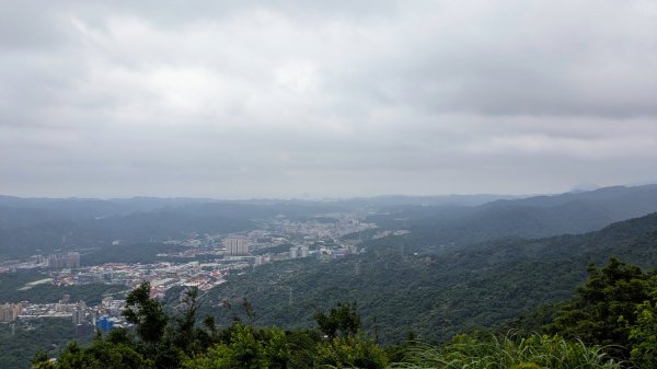 四分尾山,勤進路2515119