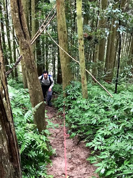 三角湖山-向天湖山-光天高山_O型201903231964272