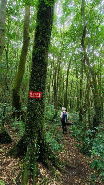 東滿步道+拉卡山2599067