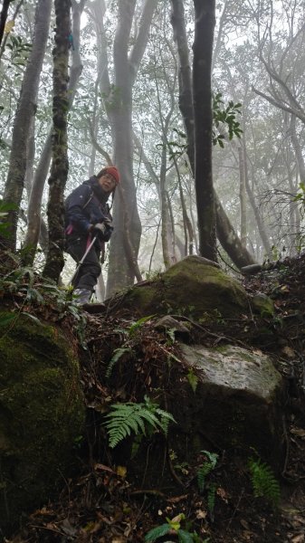 金牌縱走202502082709502