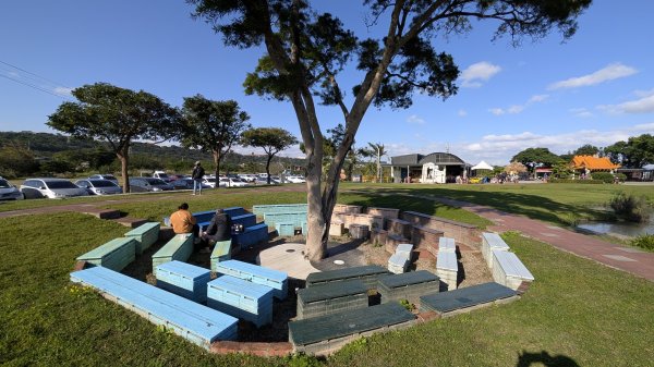 115.01.03山水步道-中庄吊橋-月眉落羽松之旅2977058