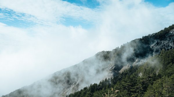 南橫百岳—關山嶺山2383832