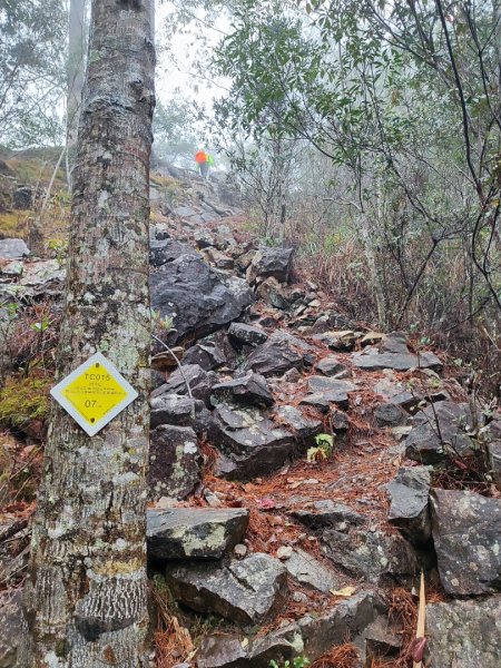 谷關老八阿冷山2699790