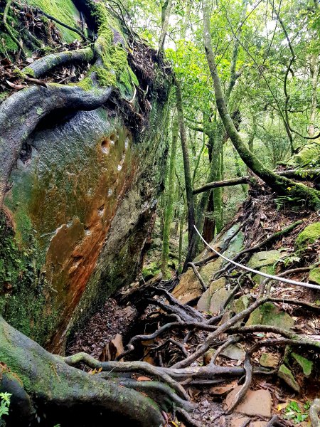 小百岳集起來-加里山2185872