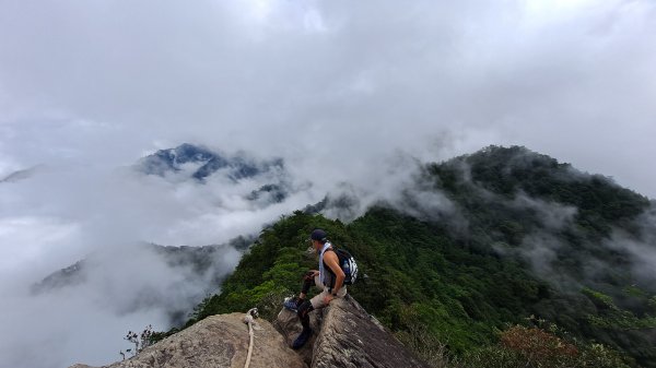 小百岳#39_鳶嘴稍來︳大象出沒1150209