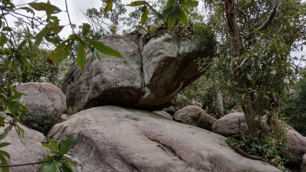 內湖金面山步道890441