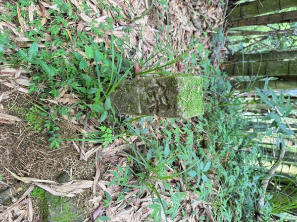 頂石槕步道群順訪樂野山2808418