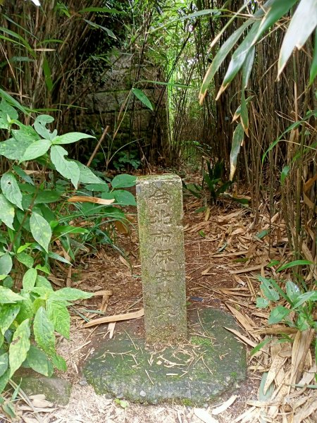 鞍部→大屯山北、主、南、西峰連走→面天坪→清天宮【走遍陽明山】2176975