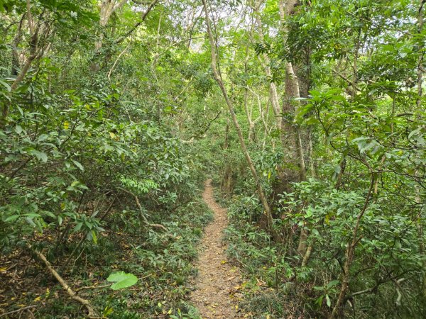女仍山（小百岳）2752509