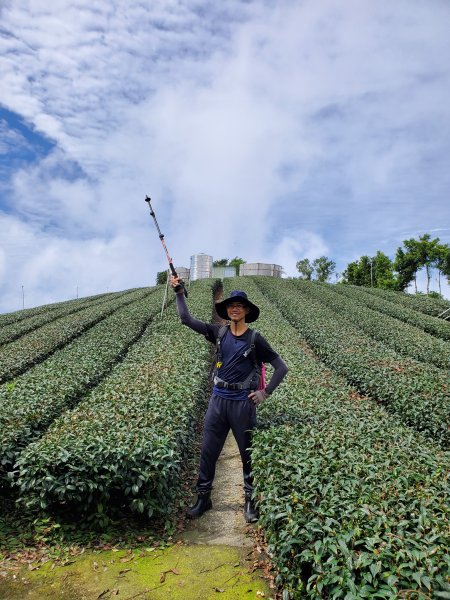 【嘉義 | 獨立山走大籠頂】1112273