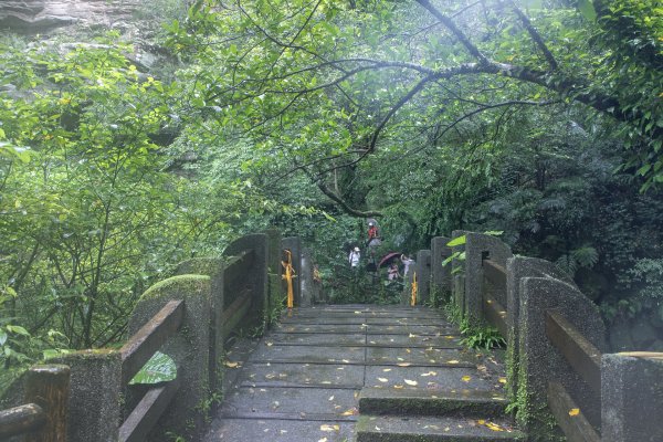 暖東峽谷/草嶺舊隧道2816503