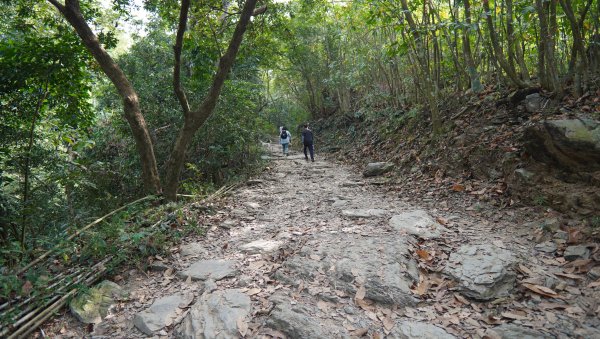 小百岳集起來_笠頂山登山步道2368355