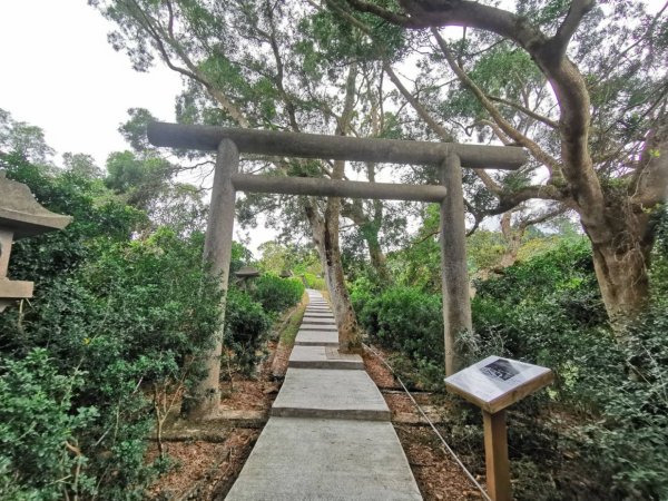 長濱金剛大道+台30線玉長公路＋玉里神社遺址2457982