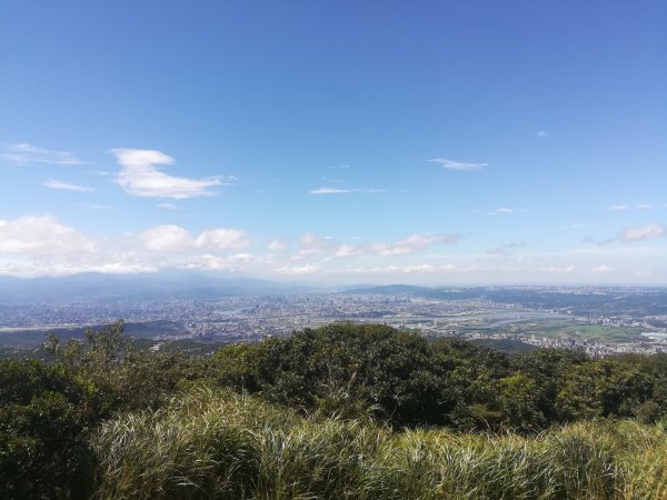 冷苗步道-七星公園-夢幻湖-冷水坑O形668585