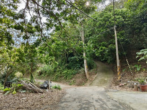 2024.03.24 飛鳳古道2908481