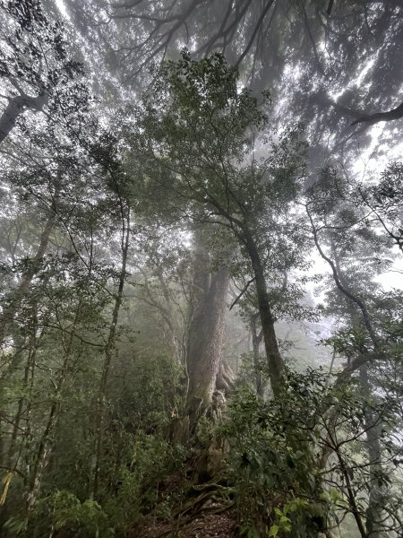 2025_0622 霞喀羅大山2819204