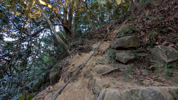 大橫屏山步道2977343