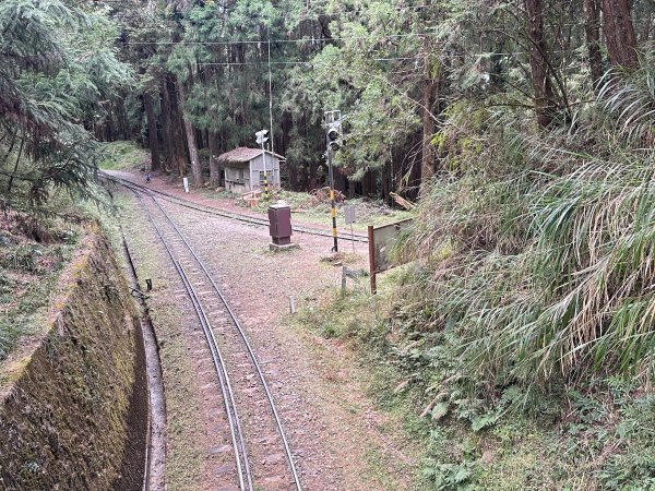 眠月線健行2992987