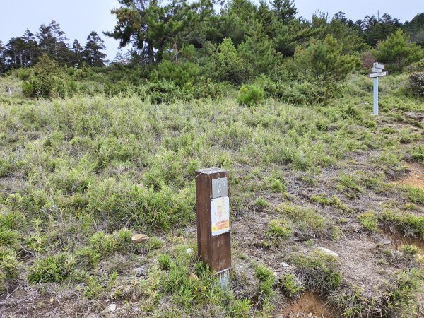 北一段(13/14)審馬陣山 2025_0906~132887544