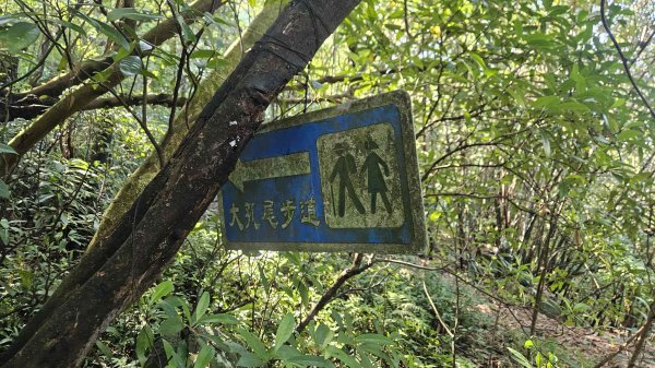 20251124綠峰山莊到天籟-大孔尾步道-南勢湖步道2944100