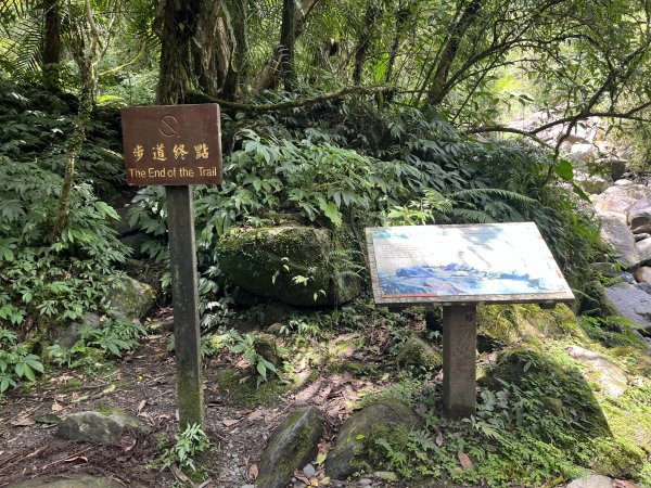 2025_0713 松羅步道2836807