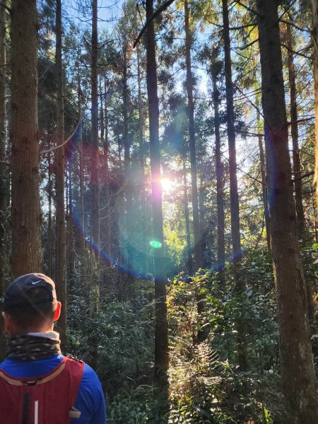 小百岳集起來-鵝公髻山2181604