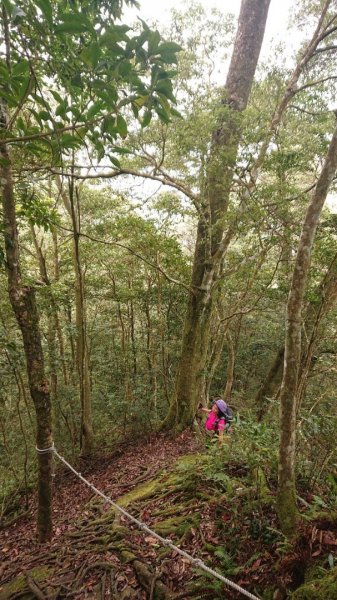 那結山（嘎色鬧部落線）893457