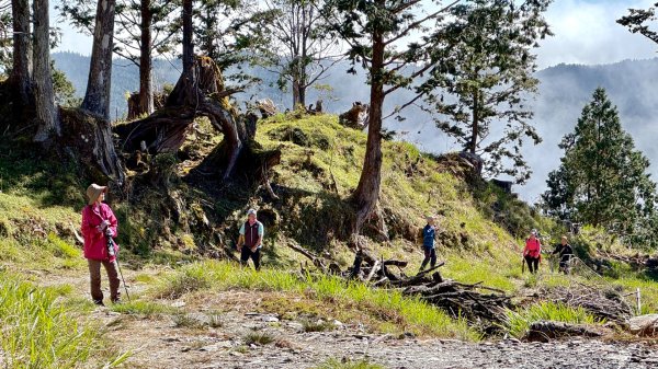 三星山(小百岳#85) 鳩之澤溫泉煮蛋趣2952825