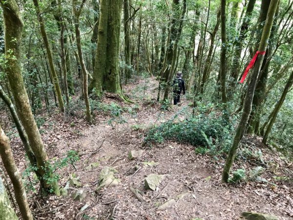 搭過山車飛越哈加縱走1132991