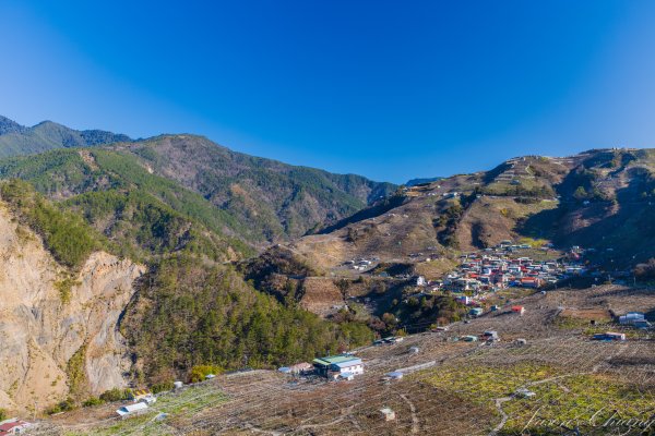 福壽山千櫻園櫻花盛開2724921