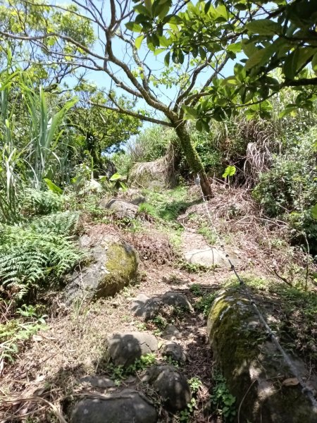 雙溪區不厭亭+牡丹山+樹梅坪+鷹石岩山神廟+不厭亭+奉憲示禁碑+三貂崙+不厭亭8字走2766298